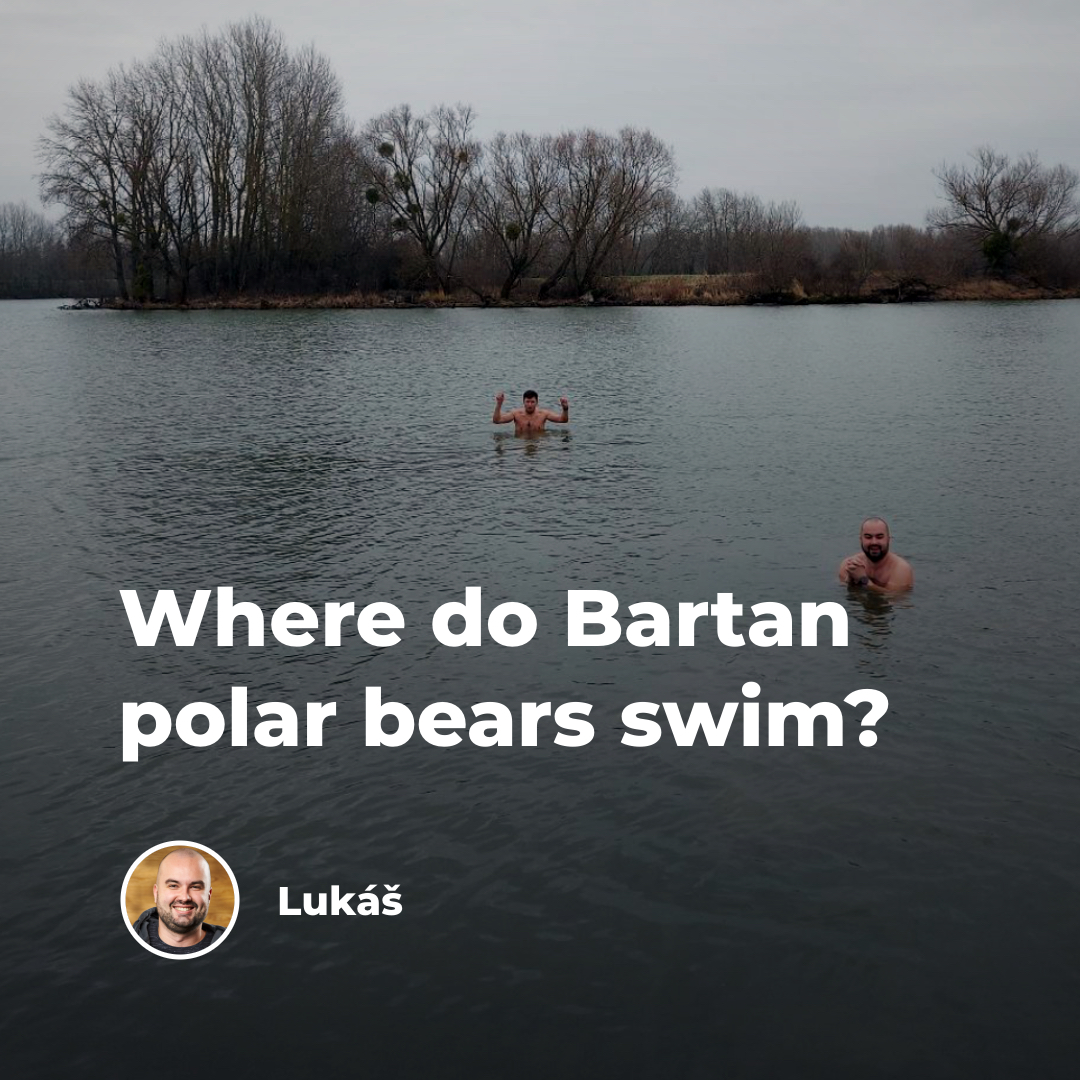 Where Do Bartan Polar Bears Swim? | Informally about IT